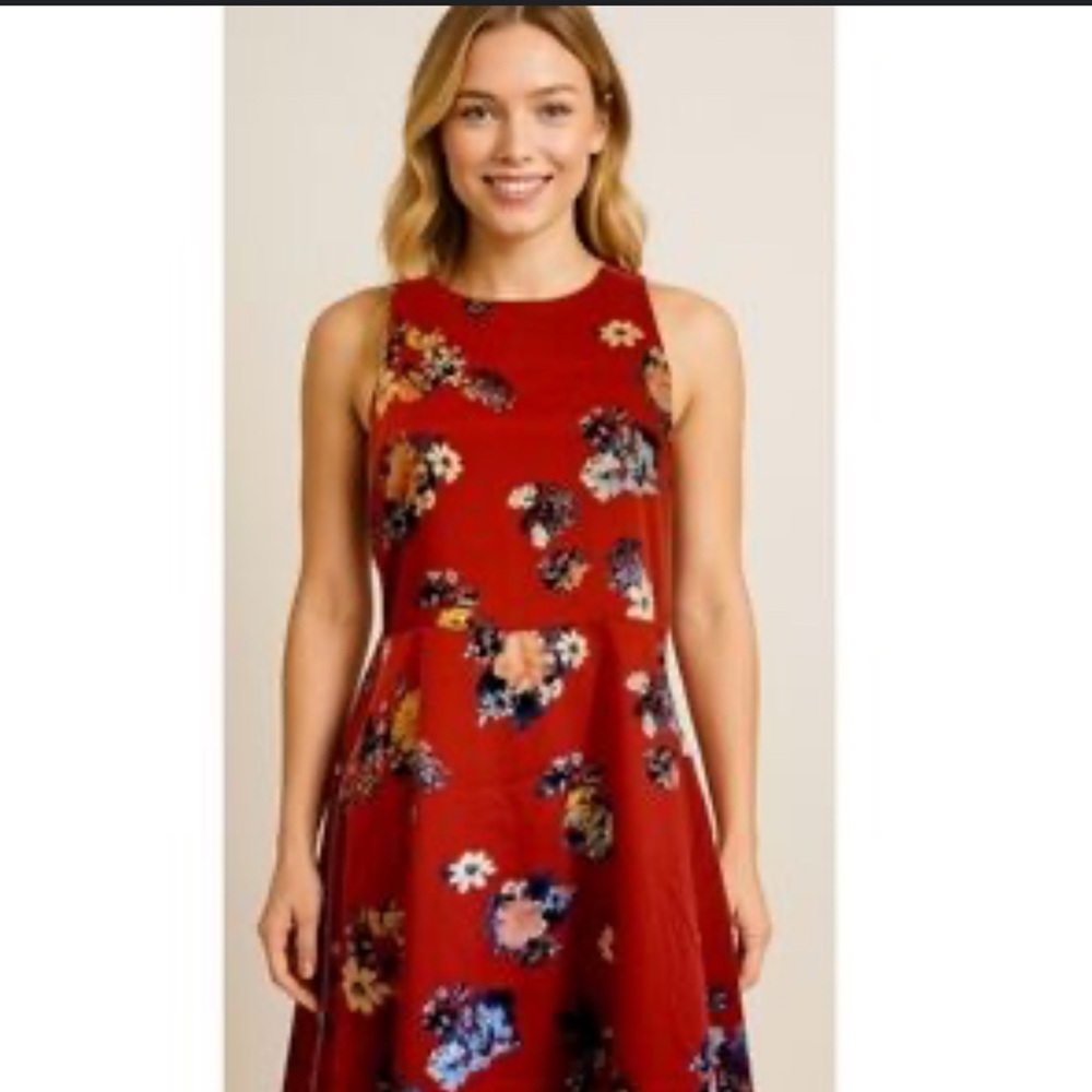 Banana Republic Burnt Orange Colorful Floral Sleeveless A-Line Dress Size 4